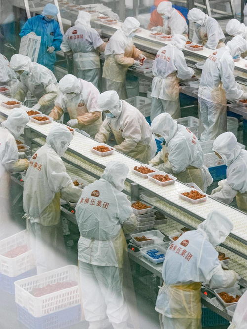 深读丨解答 196 的安全难题 食品包装机械的挑战与应对