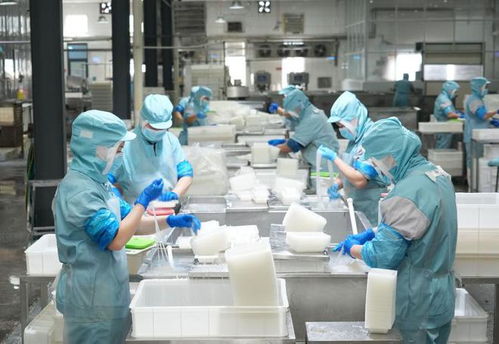 乐陵 小魔芋撬动大市场，小食品生产线展现产业新活力