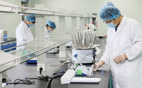 内外兼修 从食品包装机械看现代美的双重逻辑